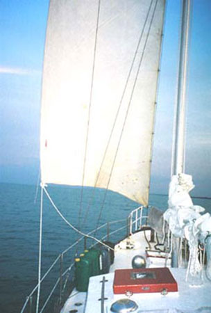 Light-Winds