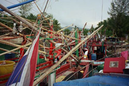 Squid-Fishing-Boats